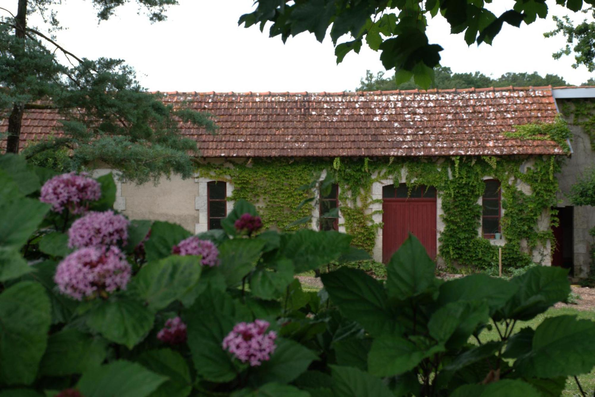 Domaine Chez Maurice Bed & Breakfast Becheresse Luaran gambar