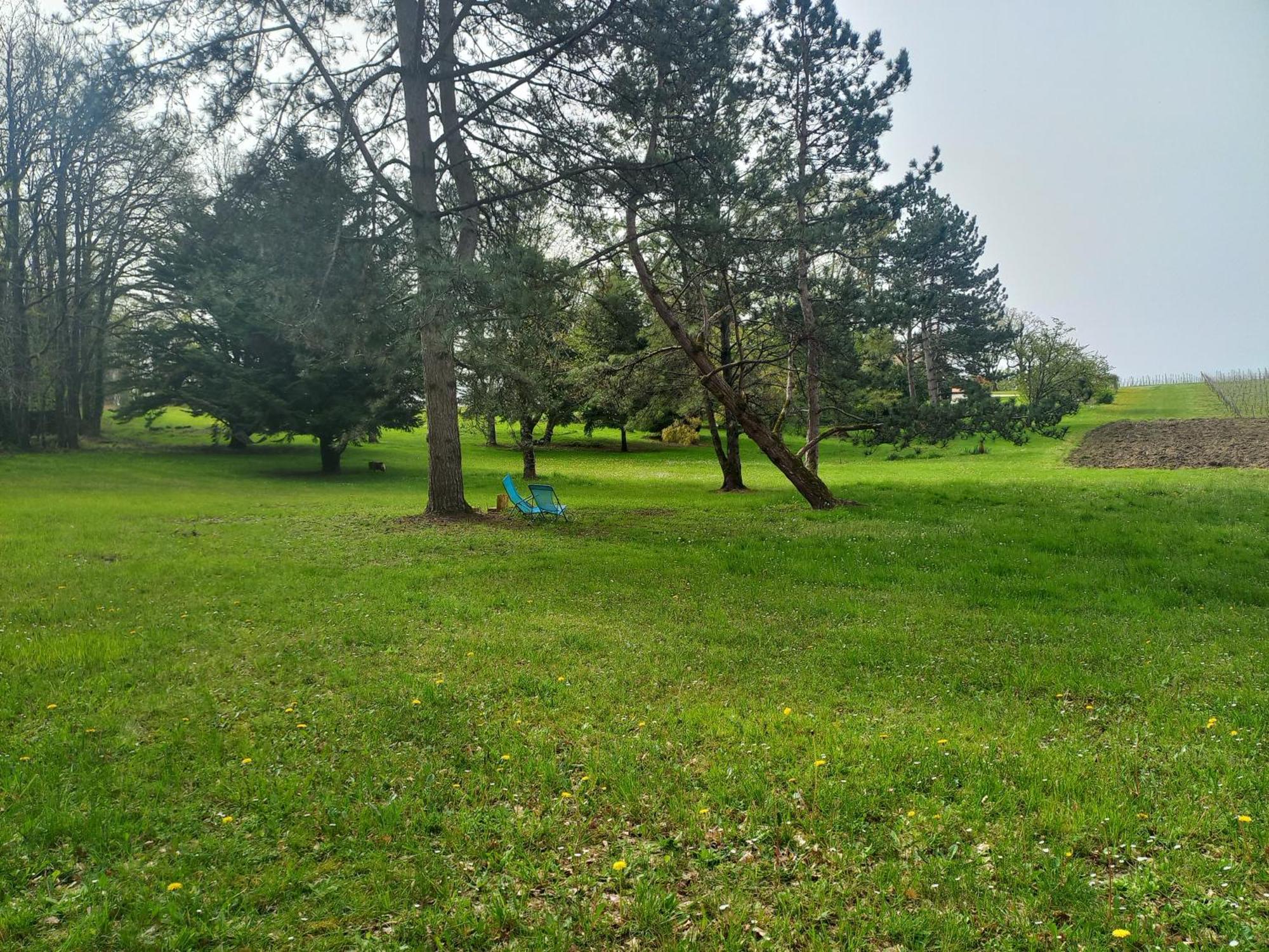 Domaine Chez Maurice Bed & Breakfast Becheresse Luaran gambar