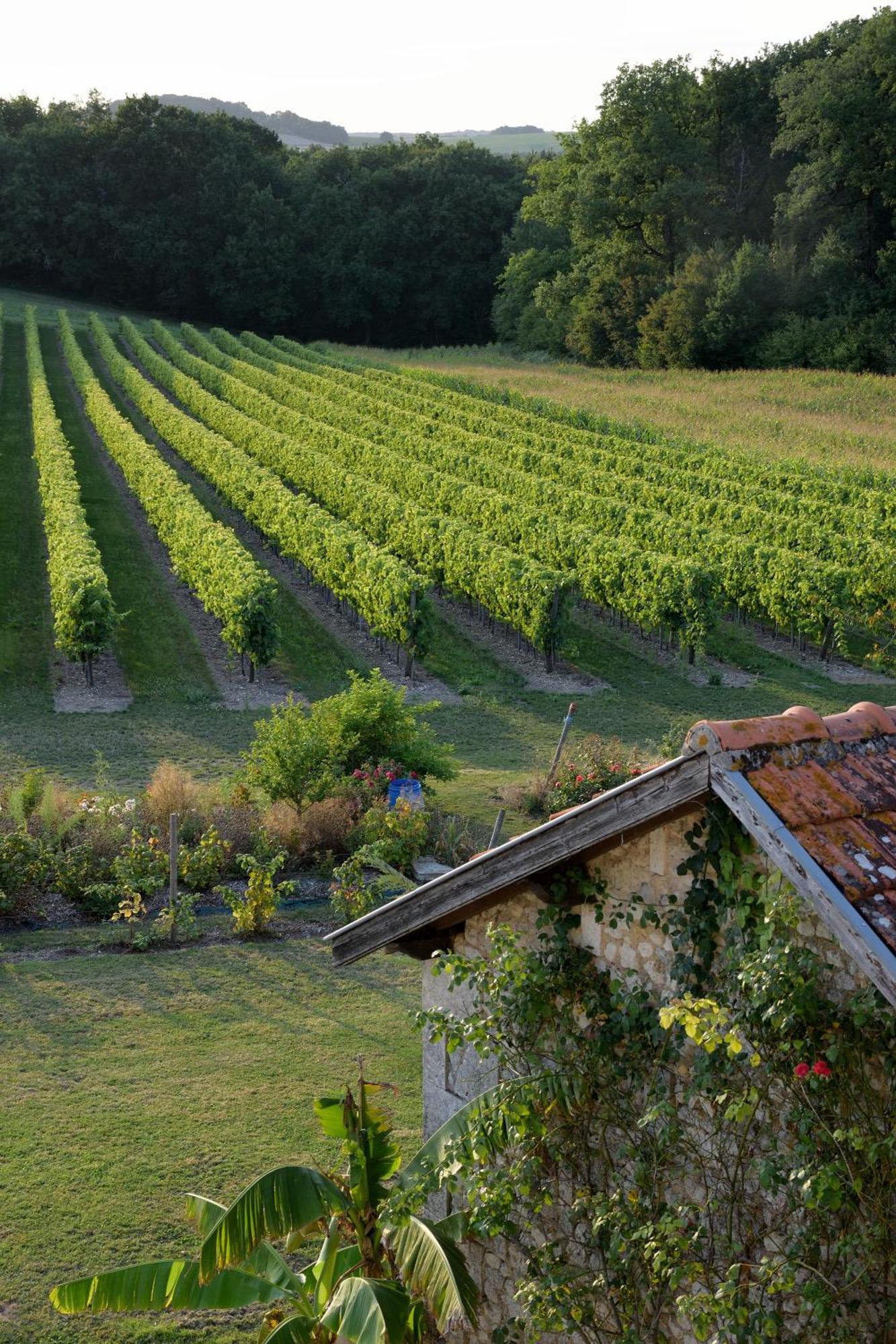 Domaine Chez Maurice Bed & Breakfast Becheresse Luaran gambar